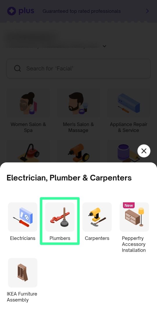 Urban Company app home screen with the Electrician, Plumber and Carpenters sheet open and the Plumbers tile ringed in green