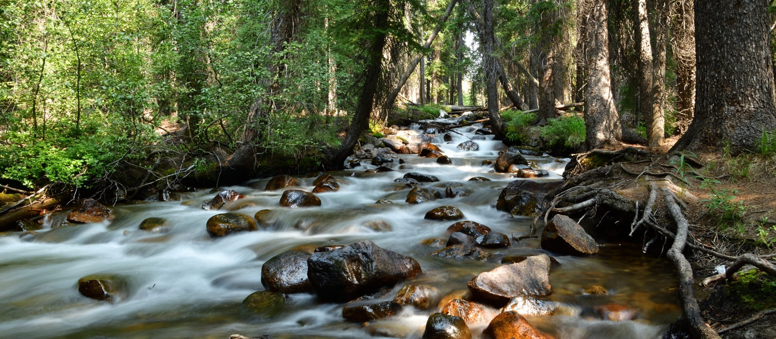 A forest stream running fast over rounded rocks and pebbles, the natural conditioning that makes river water feel fresher than seawater